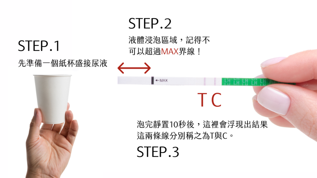 步驟1：將尿液倒入紙杯中。
步驟2：拿起排卵期試紙浸泡於尿液，切記不要將試紙深得太進去使水面超過MAX的界線。
步驟3：泡完靜置10秒，等待結果浮現出來。