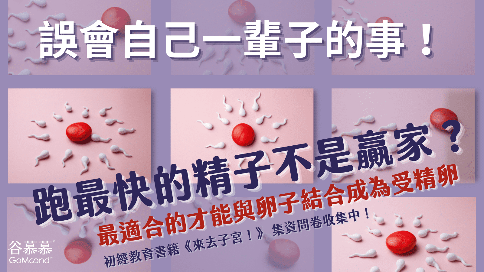 誤會自己一輩子的事 跑最快的精子不是贏家 最適合的才能與卵子結合成為受精卵 月亮褲